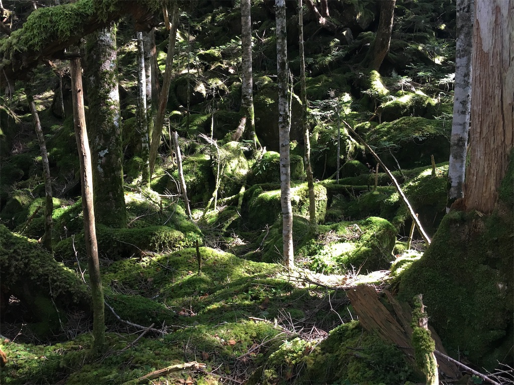 f:id:amefuri5kumanoko:20191009165902j:image