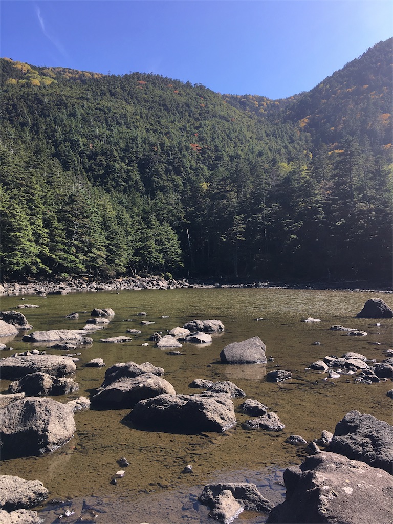 f:id:amefuri5kumanoko:20191009170022j:image