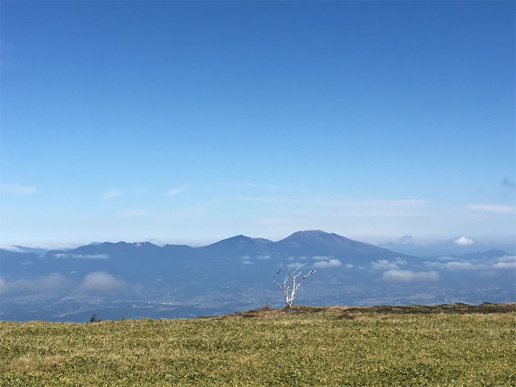 f:id:amefuri5kumanoko:20191009221742j:image