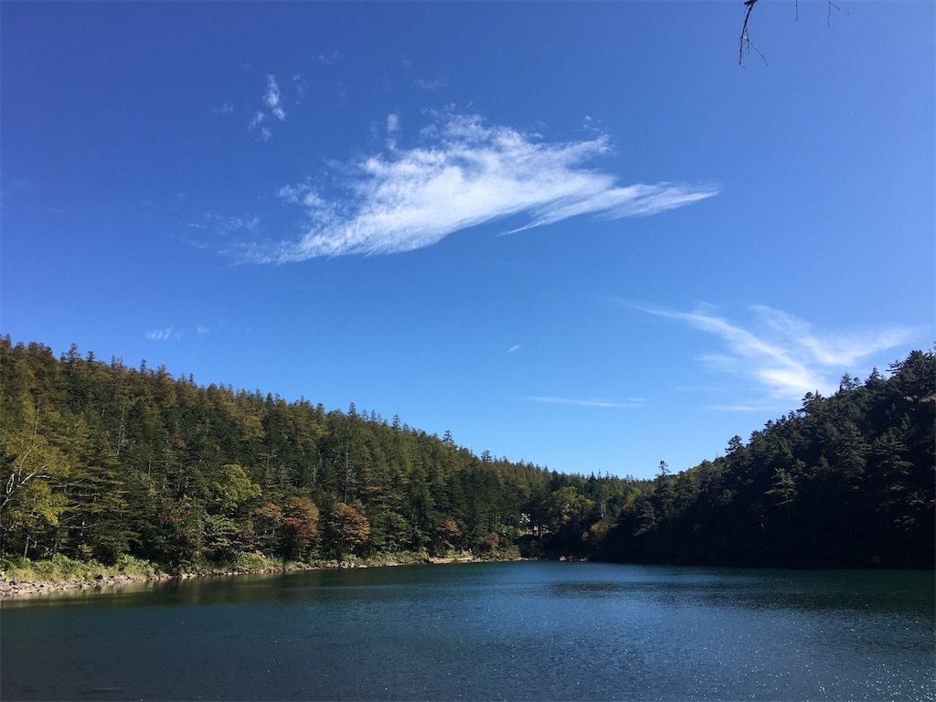 f:id:amefuri5kumanoko:20191009223101j:image