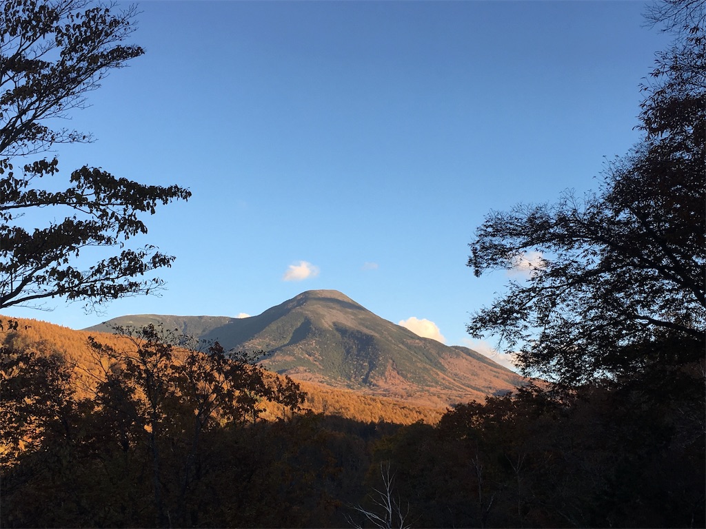 f:id:amefuri5kumanoko:20191027204850j:image