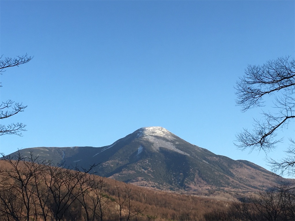 f:id:amefuri5kumanoko:20191213013145j:image