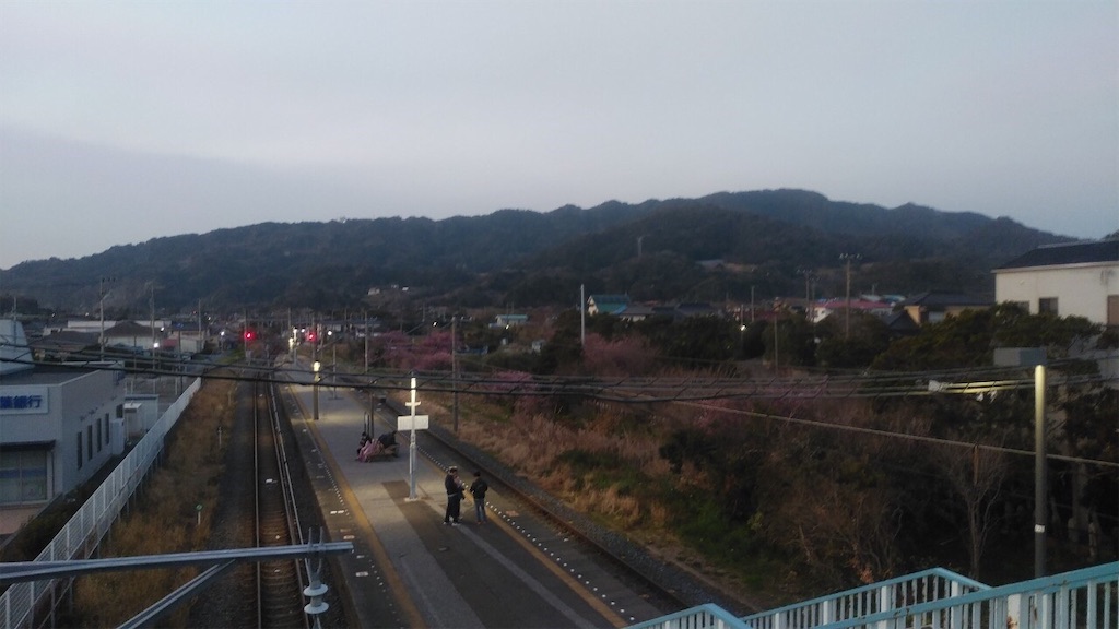 f:id:amefuri5kumanoko:20200217222617j:image f:id:amefuri5kumanoko:20200217222617j:image