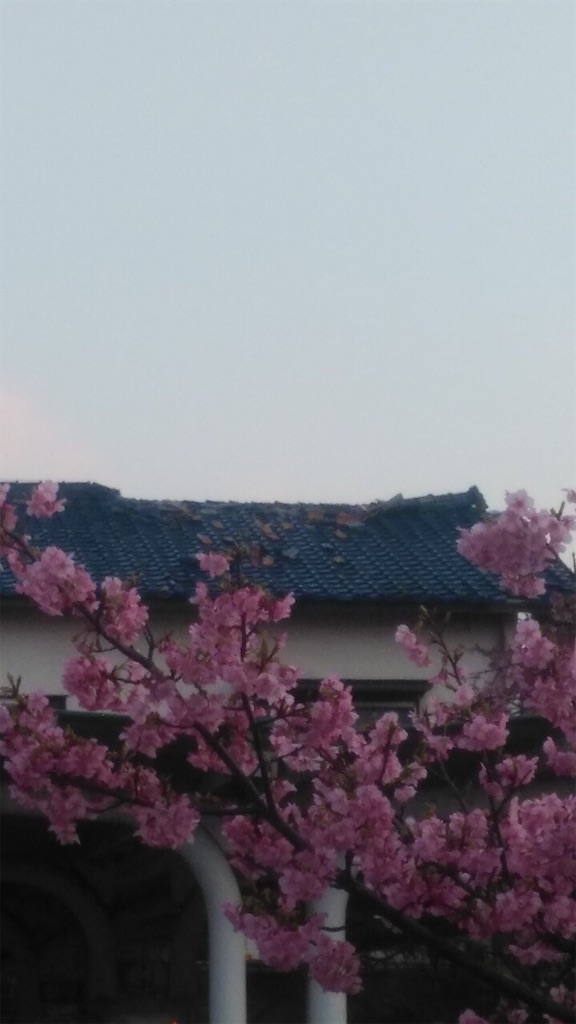 f:id:amefuri5kumanoko:20200217223856j:image f:id:amefuri5kumanoko:20200217223856j:image