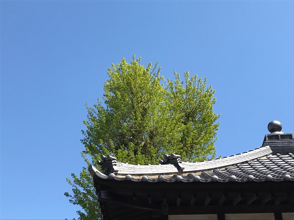 f:id:amefuri5kumanoko:20200419034745j:image f:id:amefuri5kumanoko:20200419034745j:image