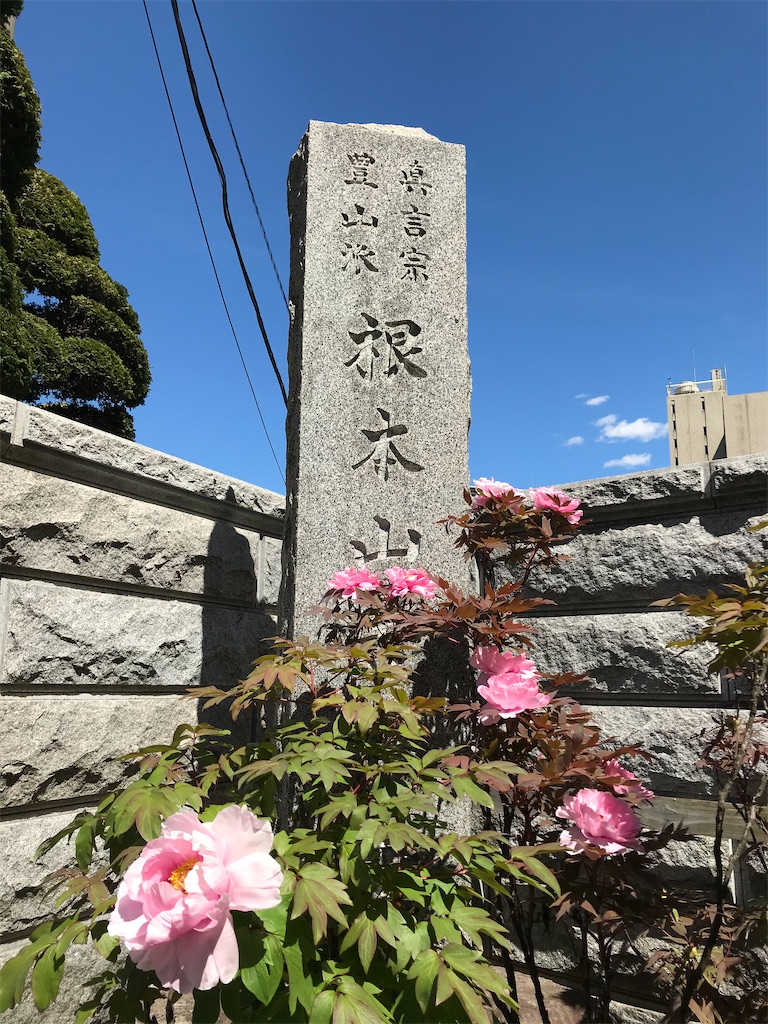 f:id:amefuri5kumanoko:20200423075359j:image f:id:amefuri5kumanoko:20200423075359j:image