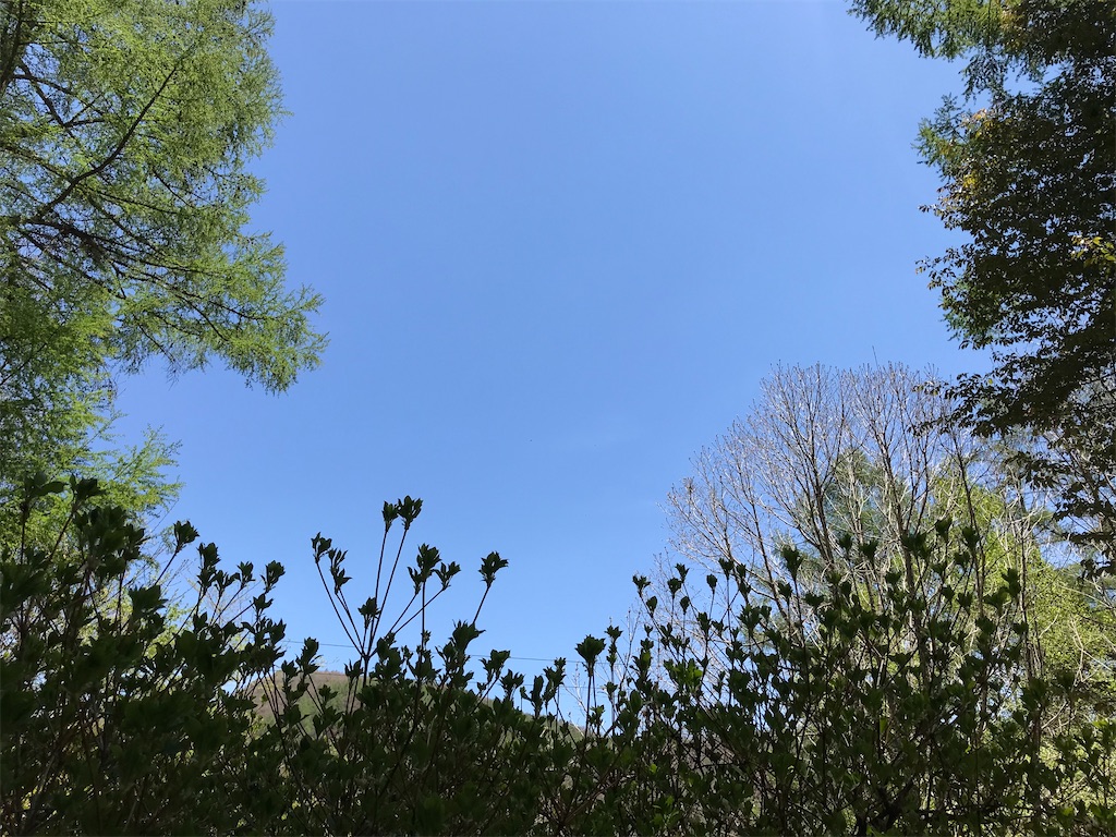 f:id:amefuri5kumanoko:20200524104552j:image