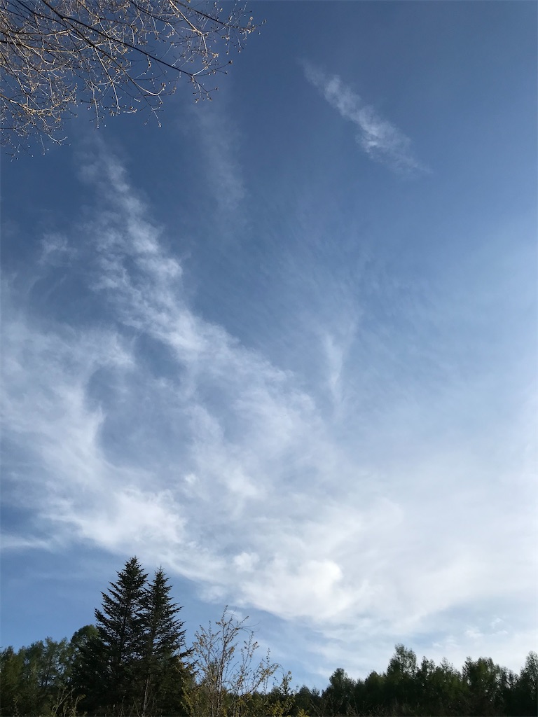 f:id:amefuri5kumanoko:20200524104941j:image