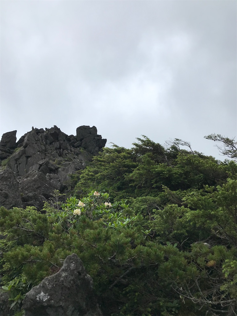 f:id:amefuri5kumanoko:20200907130747j:image