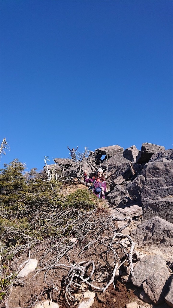 f:id:amefuri5kumanoko:20201229211913j:image f:id:amefuri5kumanoko:20201229211913j:image