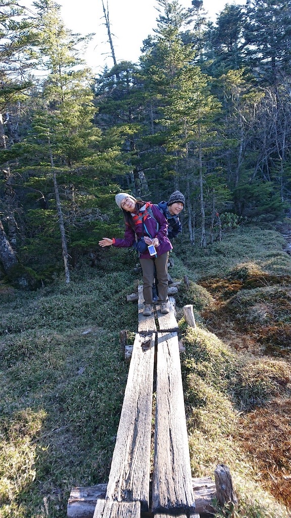 f:id:amefuri5kumanoko:20201229212013j:image f:id:amefuri5kumanoko:20201229212013j:image