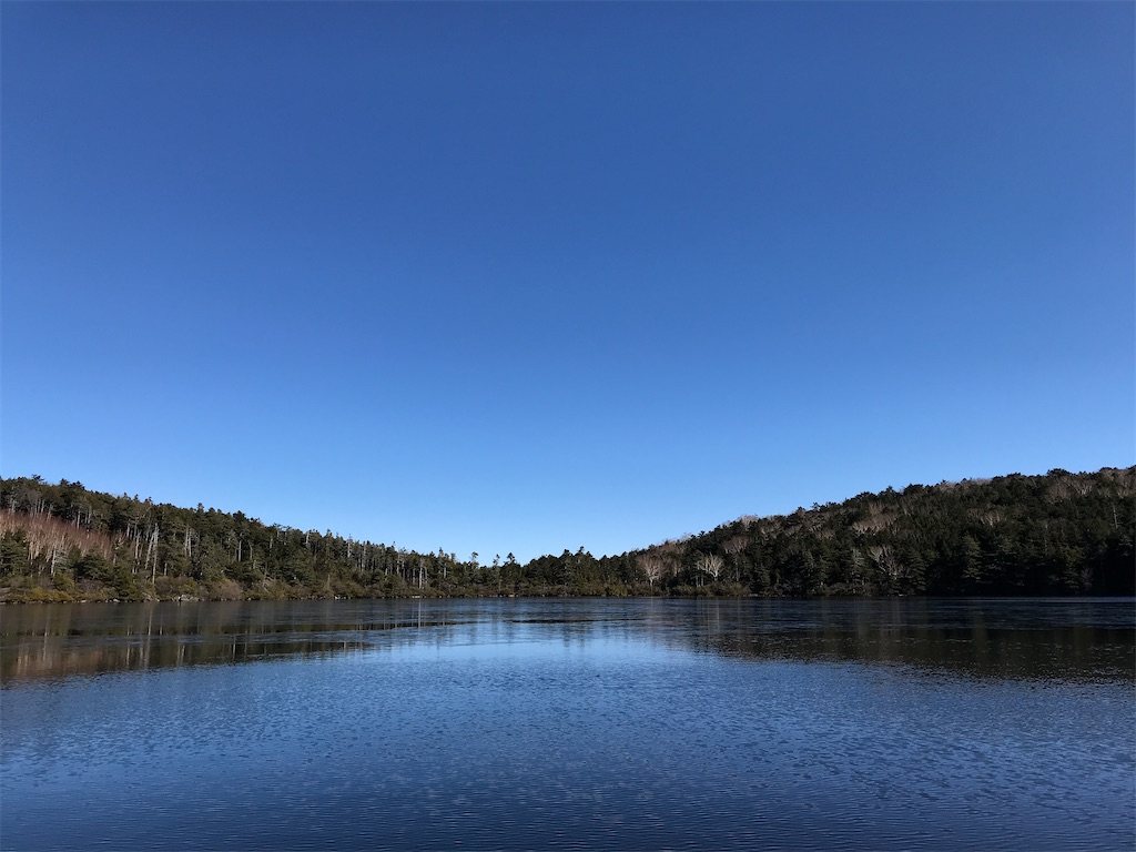 f:id:amefuri5kumanoko:20201230170710j:image f:id:amefuri5kumanoko:20201230170710j:image