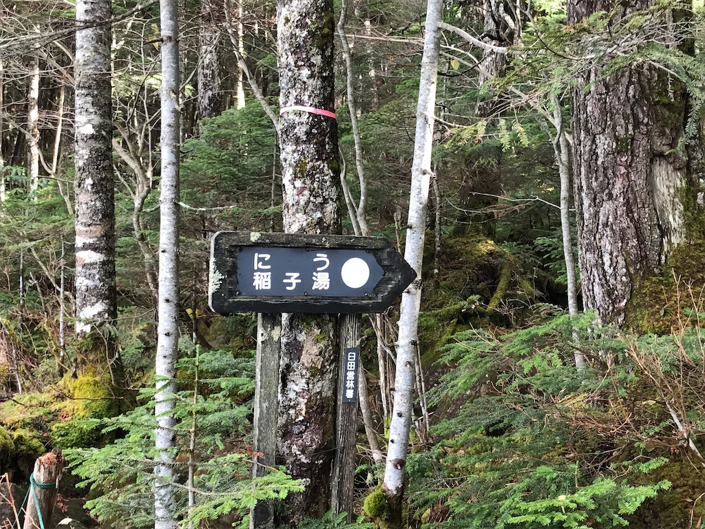 f:id:amefuri5kumanoko:20201230171653j:image f:id:amefuri5kumanoko:20201230171653j:image