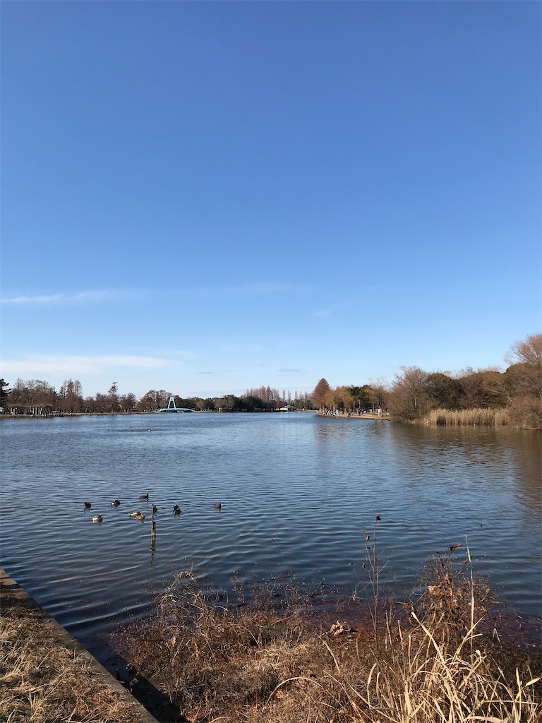 f:id:amefuri5kumanoko:20210103194810j:image f:id:amefuri5kumanoko:20210103194810j:image