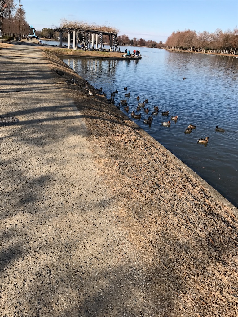 f:id:amefuri5kumanoko:20210103195537j:image f:id:amefuri5kumanoko:20210103195537j:image