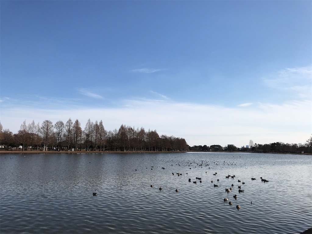 f:id:amefuri5kumanoko:20210103195552j:image f:id:amefuri5kumanoko:20210103195552j:image