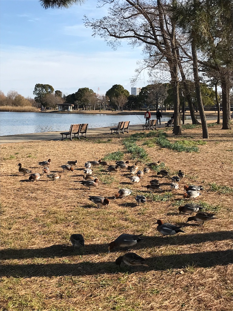 f:id:amefuri5kumanoko:20210103202858j:image f:id:amefuri5kumanoko:20210103202858j:image