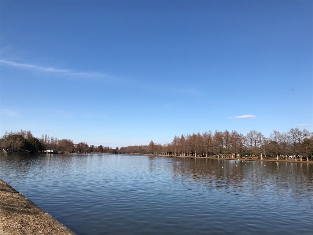 f:id:amefuri5kumanoko:20210103203602j:image f:id:amefuri5kumanoko:20210103203602j:image