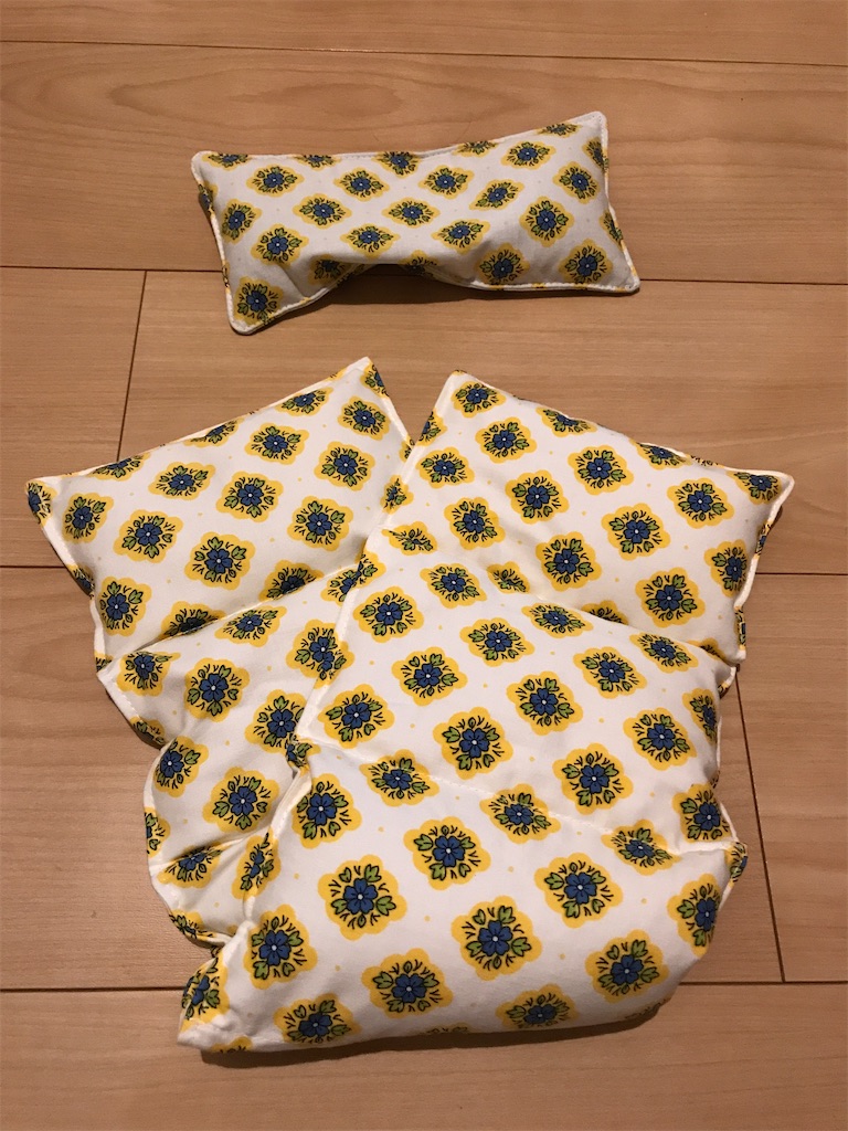 f:id:amefuri5kumanoko:20210120162009j:image f:id:amefuri5kumanoko:20210120162009j:image