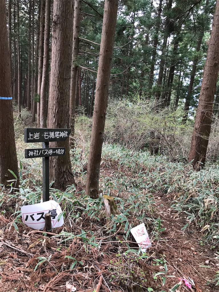 f:id:amefuri5kumanoko:20210407082811j:image