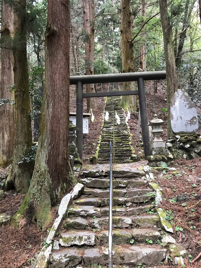 f:id:amefuri5kumanoko:20210407083006j:image