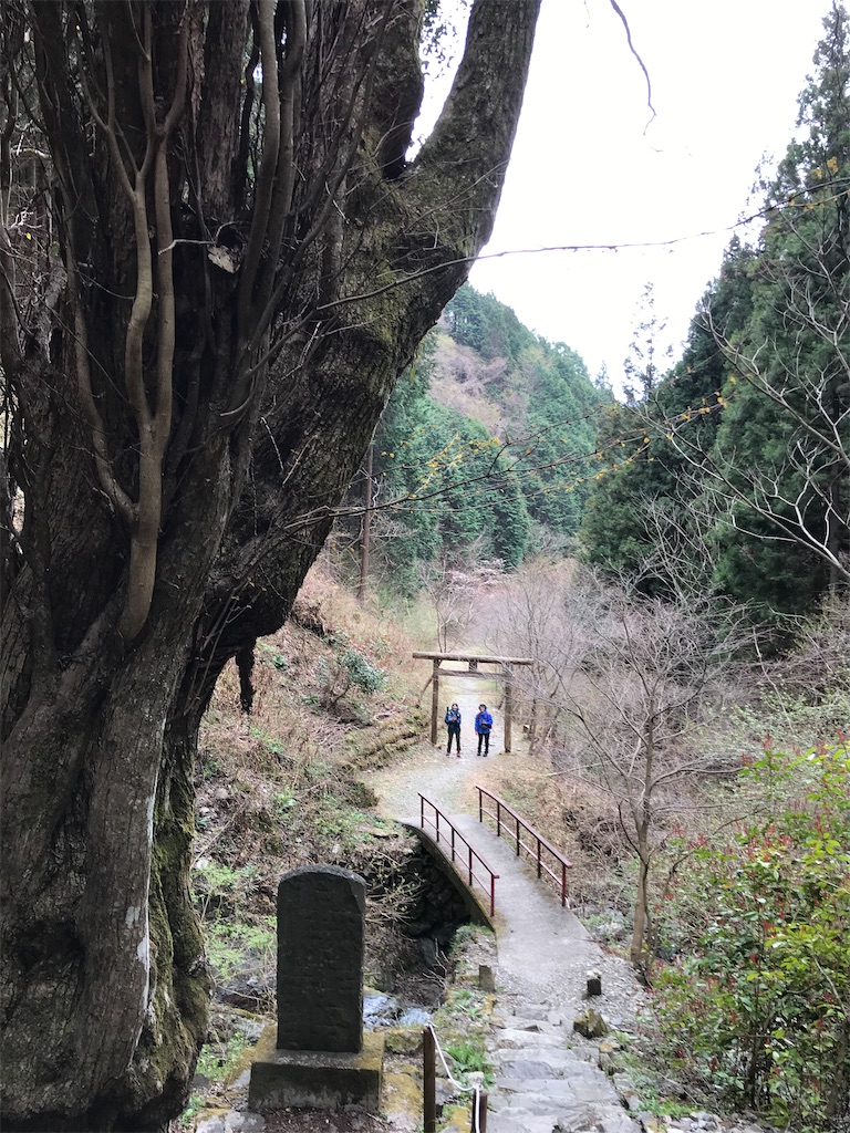 f:id:amefuri5kumanoko:20210407083051j:image