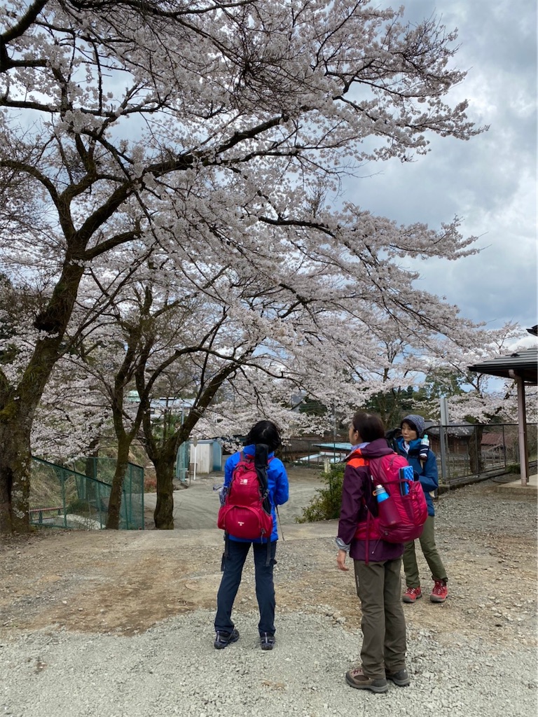 f:id:amefuri5kumanoko:20210407083055j:image