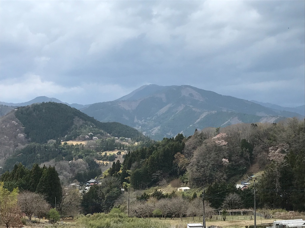 f:id:amefuri5kumanoko:20210407112008j:image