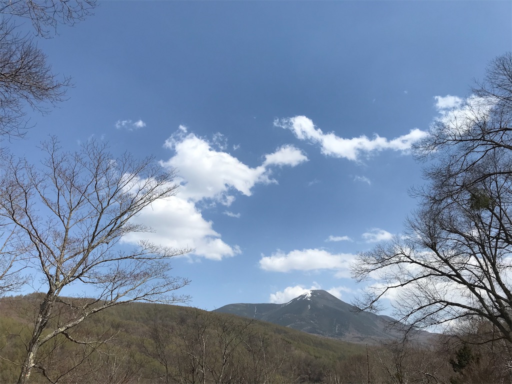 f:id:amefuri5kumanoko:20210511112413j:image
