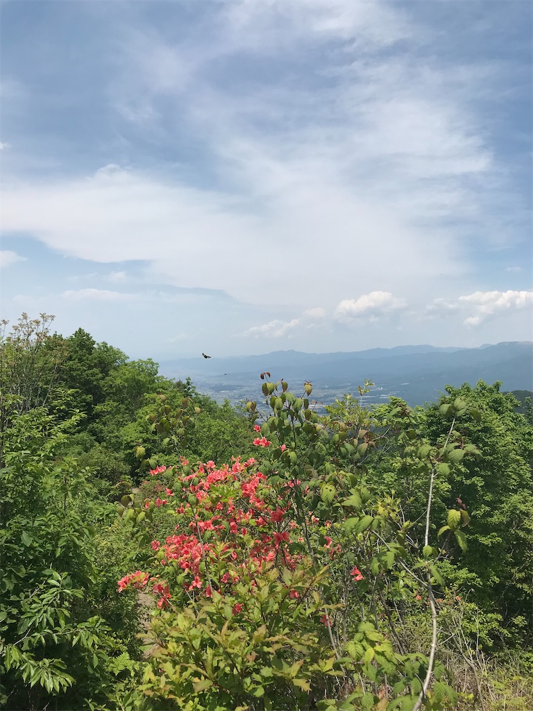 f:id:amefuri5kumanoko:20210716081915j:image