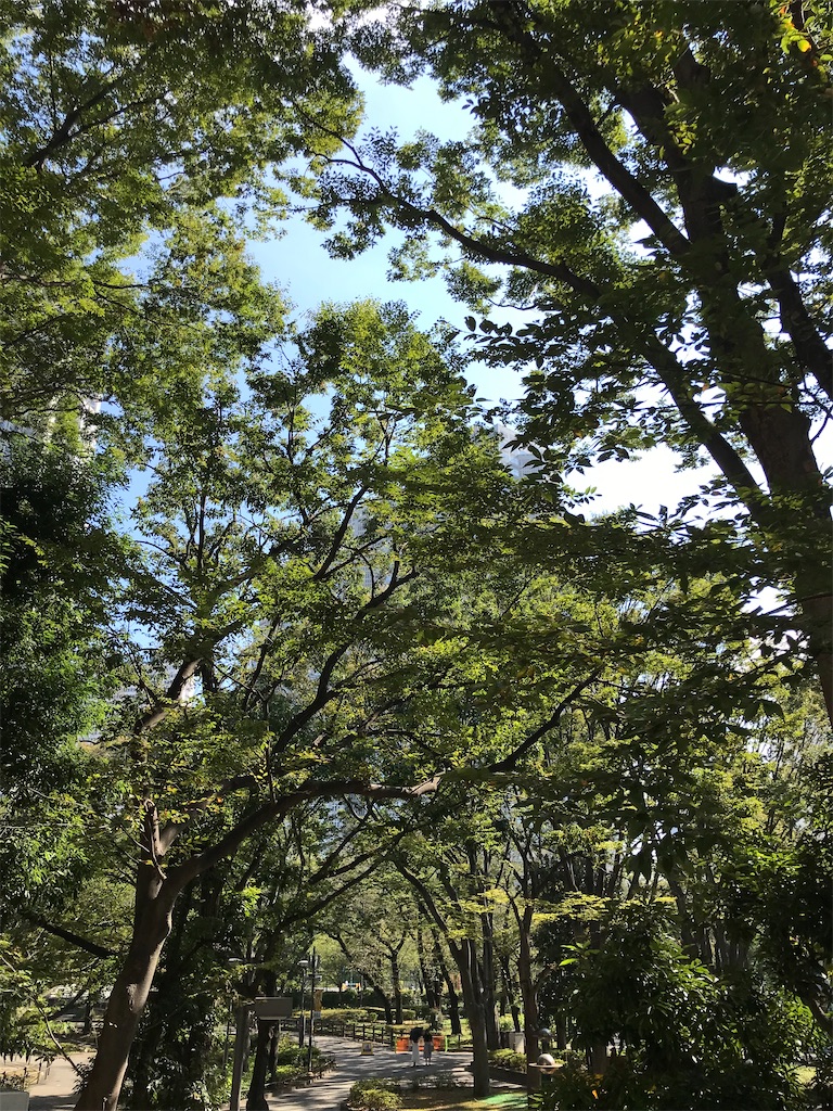 f:id:amefuri5kumanoko:20210928095148j:image f:id:amefuri5kumanoko:20210928095148j:image