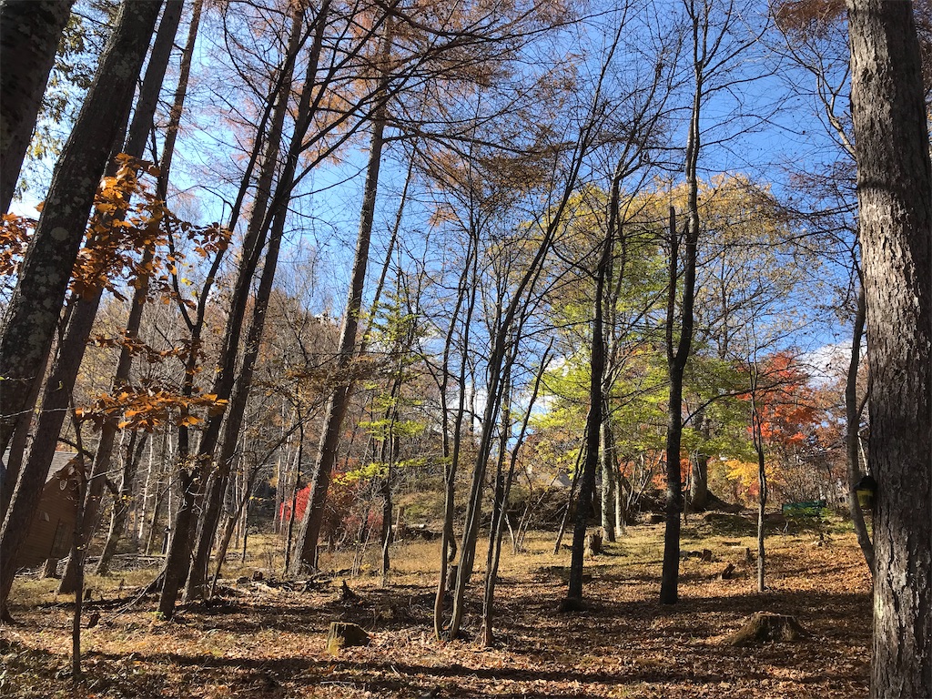 f:id:amefuri5kumanoko:20211205084238j:image f:id:amefuri5kumanoko:20211205084238j:image