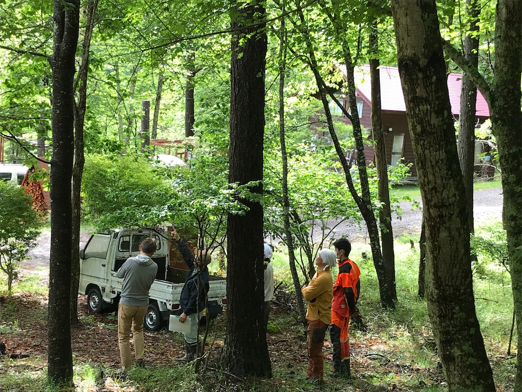 f:id:amefuri5kumanoko:20220609081536j:image