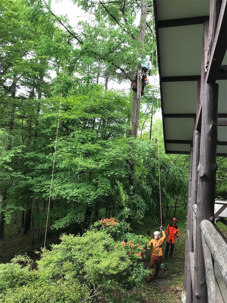 f:id:amefuri5kumanoko:20220609081541j:image