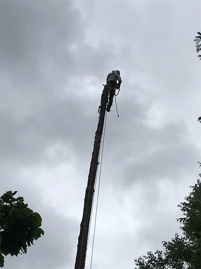 f:id:amefuri5kumanoko:20220609081613j:image