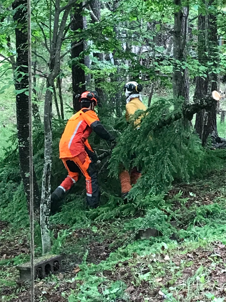 f:id:amefuri5kumanoko:20220609081617j:image