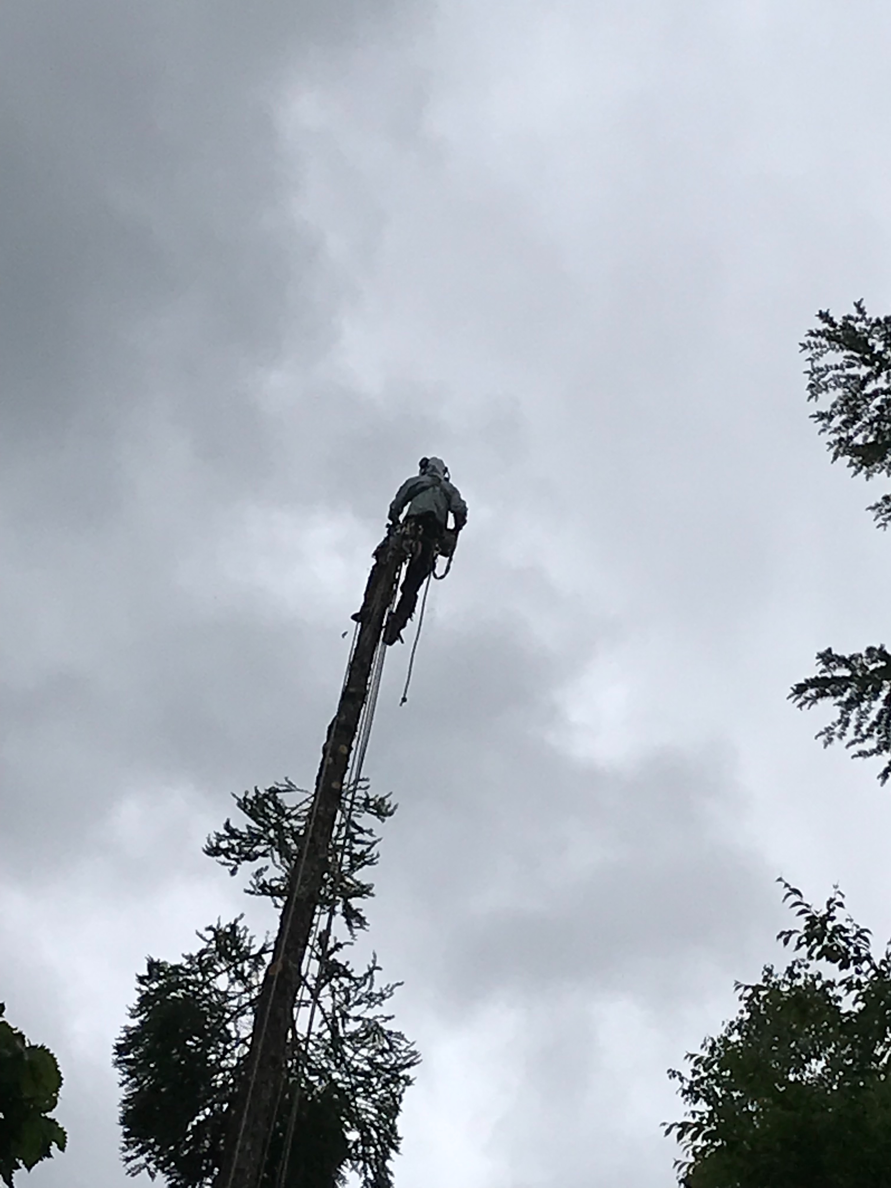 f:id:amefuri5kumanoko:20220609091538j:image