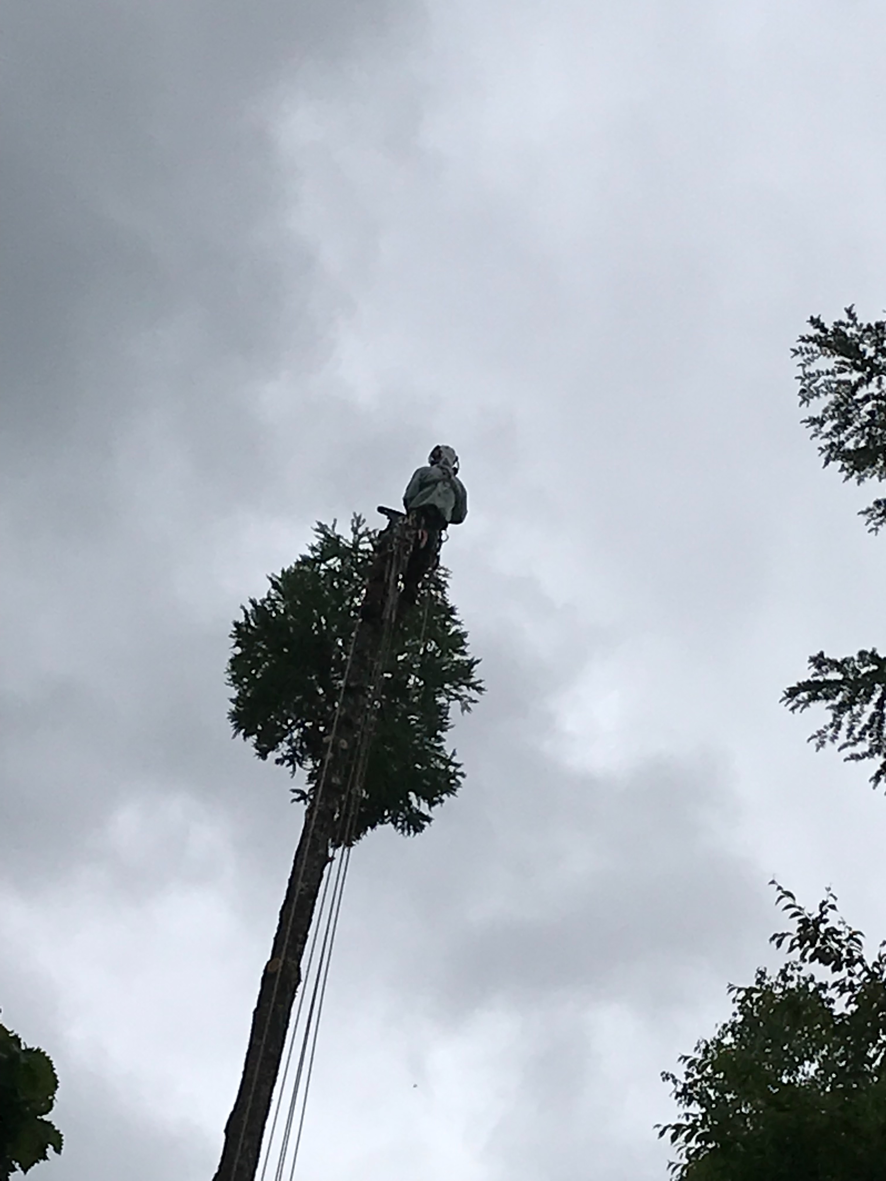 f:id:amefuri5kumanoko:20220609091628j:image