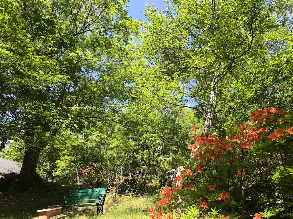 f:id:amefuri5kumanoko:20220626075751j:image