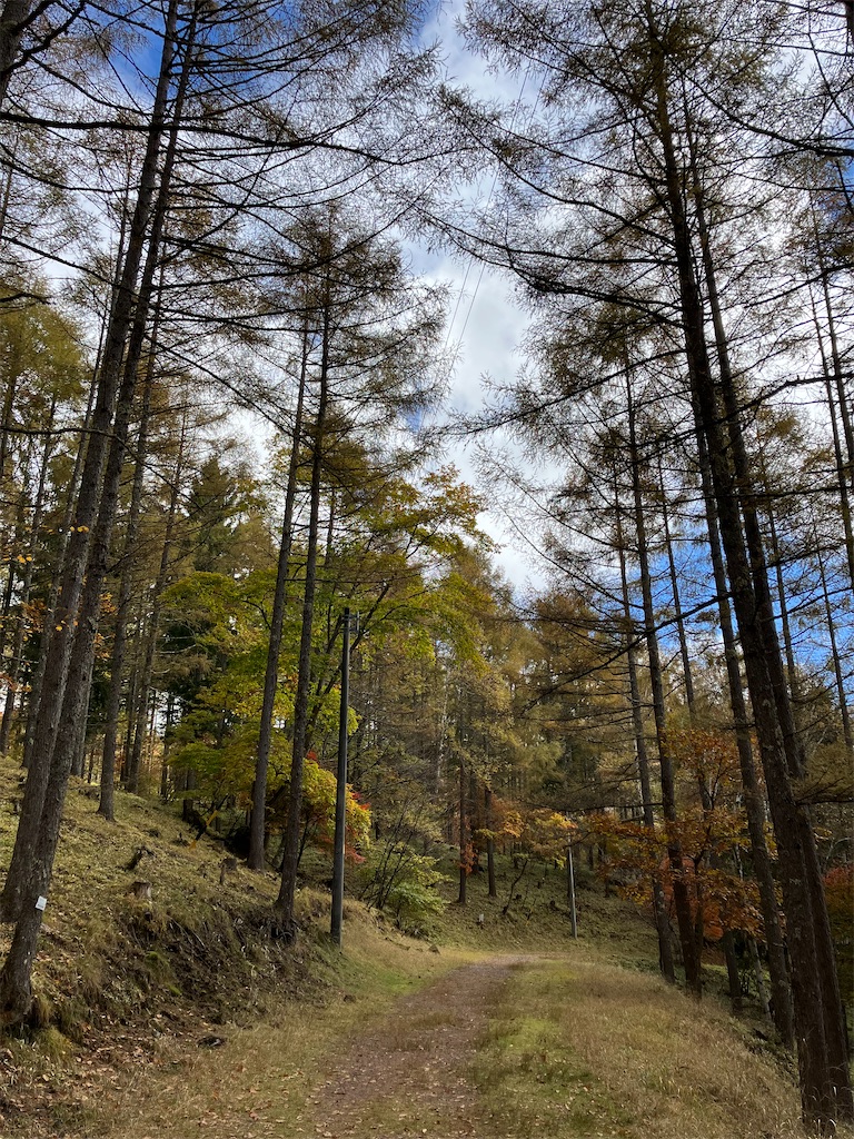 f:id:amefuri5kumanoko:20221025100840j:image