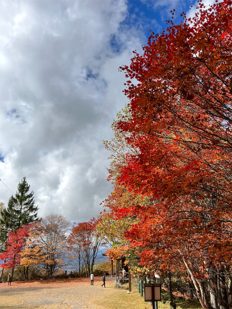 f:id:amefuri5kumanoko:20221025100844j:image