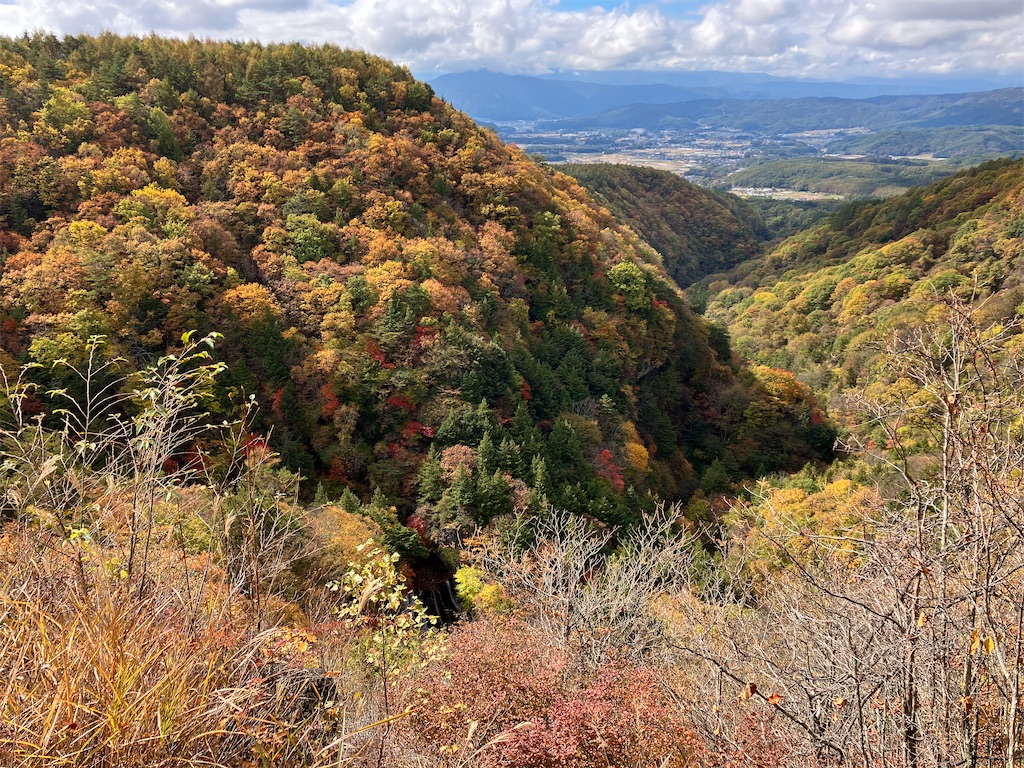 f:id:amefuri5kumanoko:20221025100851j:image