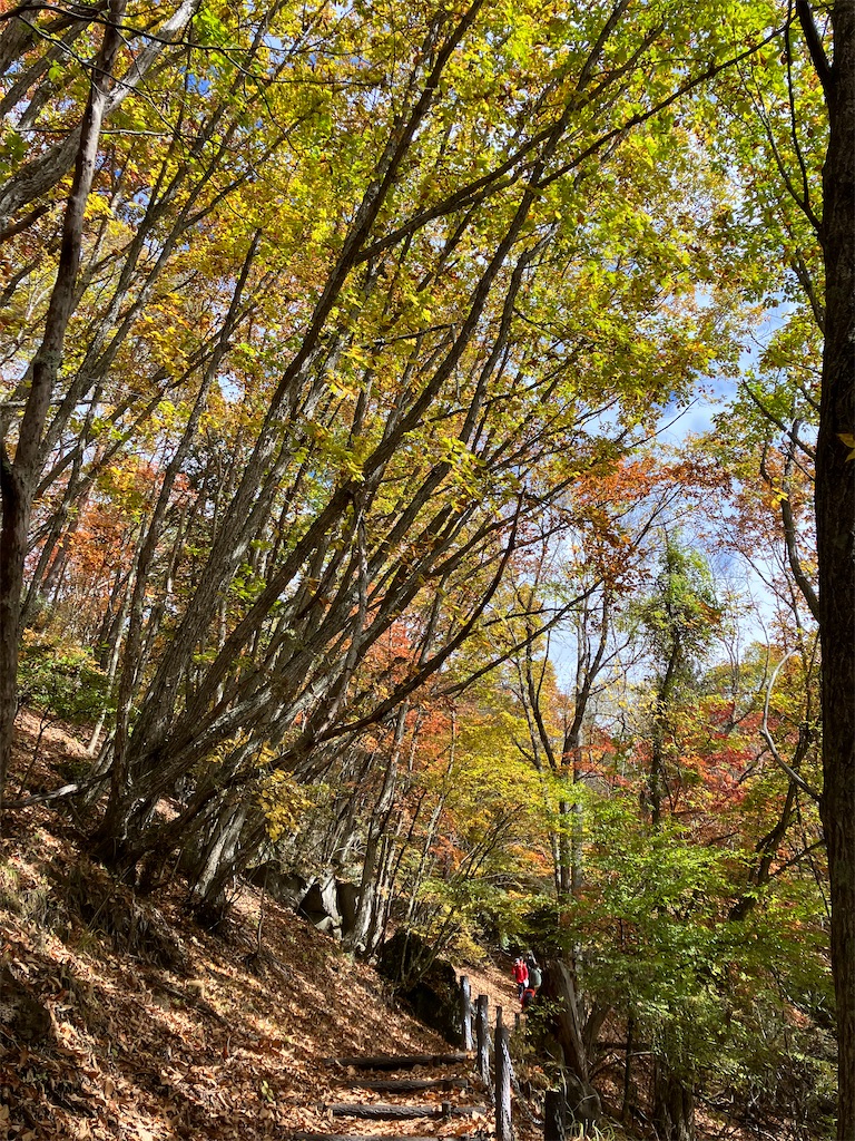 f:id:amefuri5kumanoko:20221025100903j:image