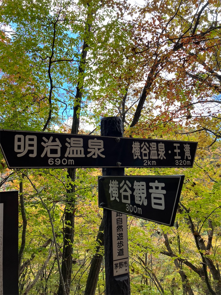 f:id:amefuri5kumanoko:20221025100906j:image