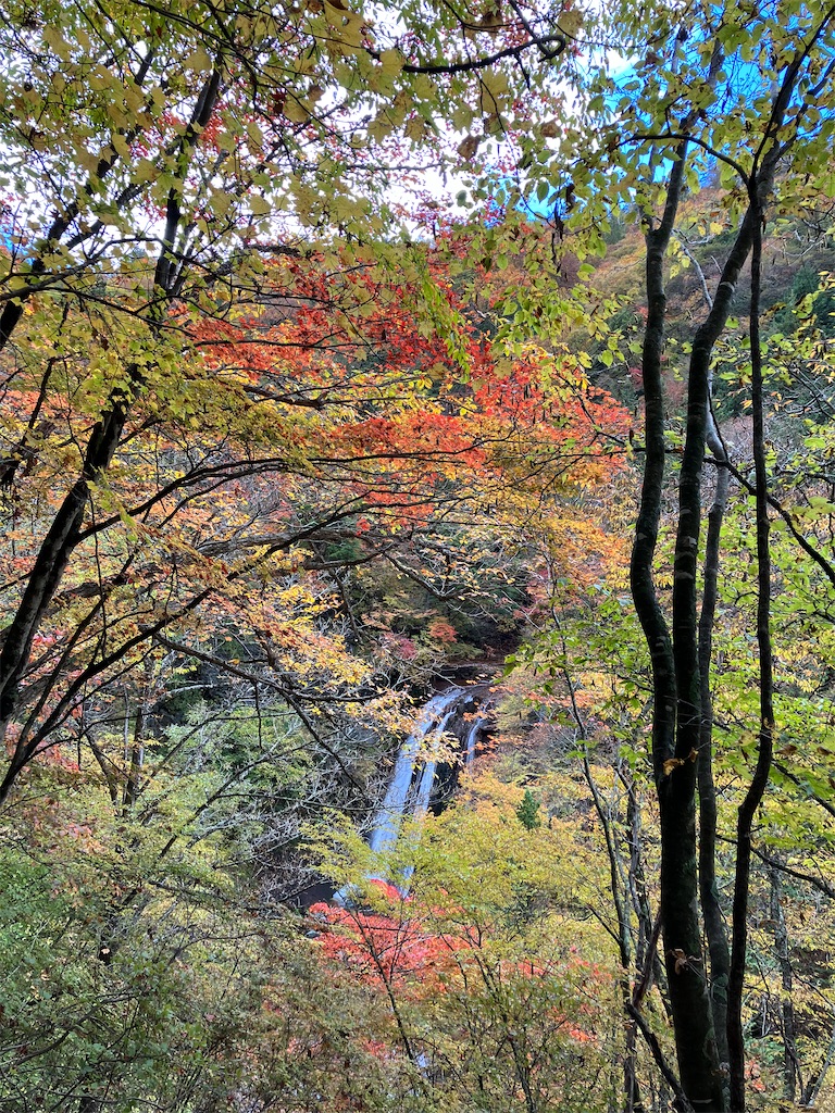 f:id:amefuri5kumanoko:20221025100914j:image