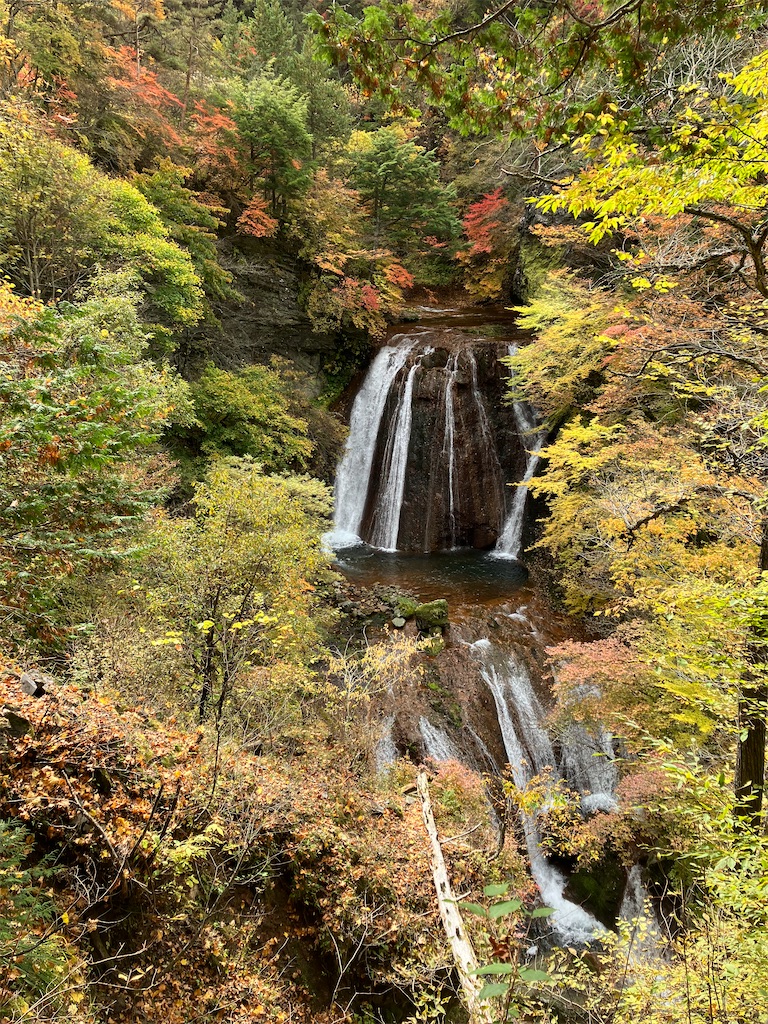 f:id:amefuri5kumanoko:20221025100938j:image