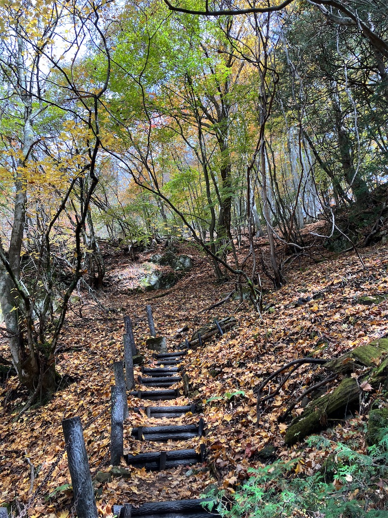 f:id:amefuri5kumanoko:20221025100957j:image