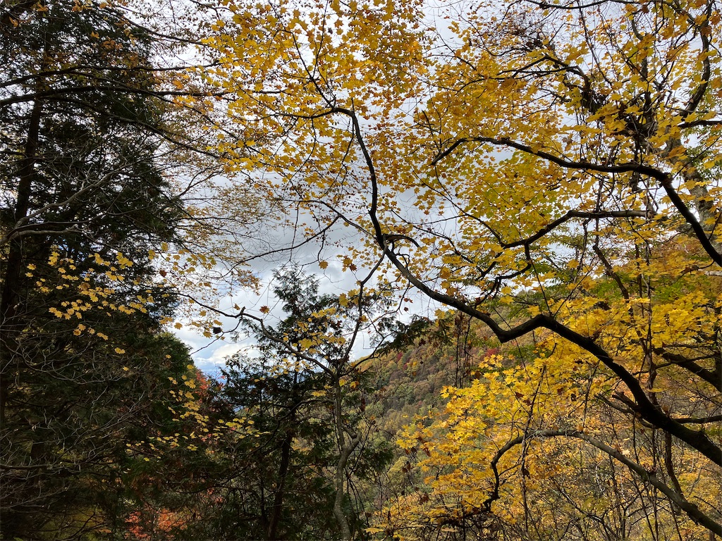 f:id:amefuri5kumanoko:20221025101015j:image