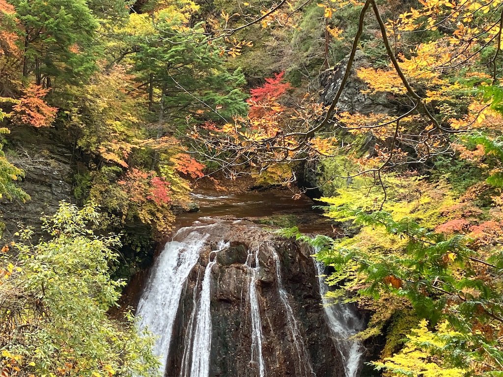 f:id:amefuri5kumanoko:20221025101033j:image