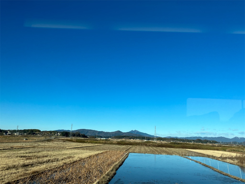 f:id:amefuri5kumanoko:20221228145408j:image